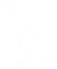 Climate Action - Sustainable Development Goal 13 icon